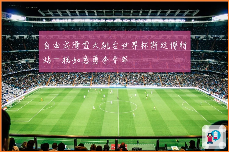 自由式滑雪大跳台世界杯斯廷博特站 - 杨如意勇夺季军