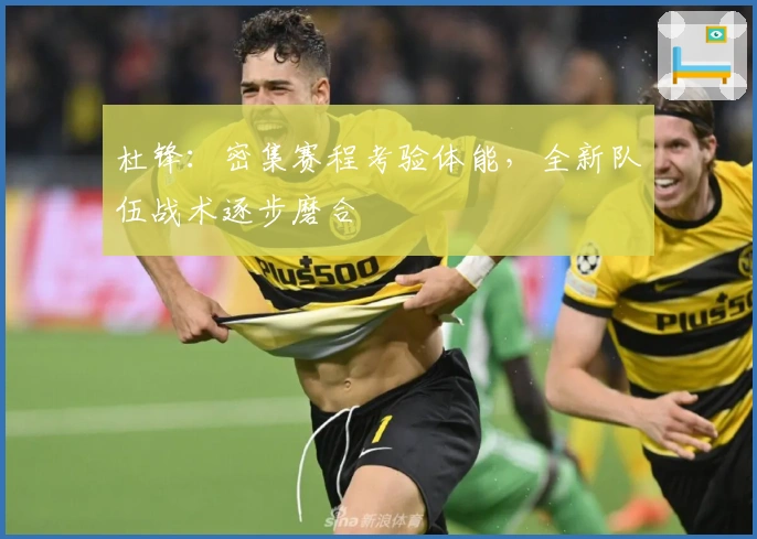 杜锋：密集赛程考验体能，全新队伍战术逐步磨合